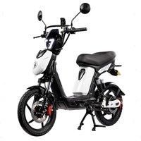 Eskuta Sx-250 Explorer Electric Bike White