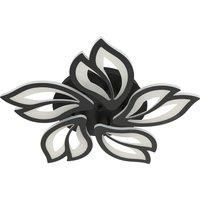 45W Acrylic Petal Ceiling Light, 3000-6500K Infinite Dimming With Remote Control, Black Ceiling Light for Living Room, Bedroom