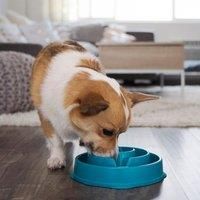 Outward Hound Slow Feeder Dog Bowl - Makes Meal Time Fun, Slows Down Eating, Promotes Healthy Digestion, Prevents Bloat | Slip Resistant and Durable, Food & Water Bowl, Size Large (Turquoise)