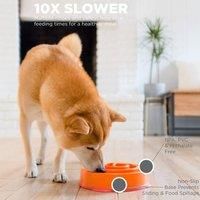 Outward Hound Slow Feeder Dog Bowl - Makes Meal Time Fun, Slows Down Eating, Promotes Healthy Digestion, Prevents Bloat | Slip Resistant and Durable, Food & Water Bowl, Size Medium (Orange)
