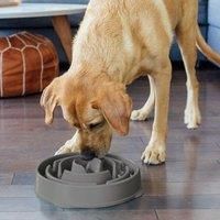 Outward Hound Fun Feeder Slo Bowl Dog Cat Pet Slow  Eating Medium/ Mini