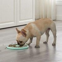 Outward Hound Slow Feeder Dog Bowl -For Flat Faced Dog Breeds- Makes Meal Time Fun, Slows Down Eating, Promotes Healthy Digestion, Prevents Bloat | Slip Resistant and Durable, Size Small (Mint)