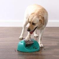 Outward Hound Nina Ottosson Dog Spin N/' Eat Interactive Dog Food Puzzle Slow Feeder, Level 2 Intermediate Dog Enrichment Toy, Green