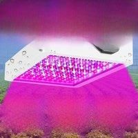 500W 300W LED Full Spectrum Plant Grow Light IR UV Indoor Flower Hydroponics Greenhouse Tent Vegetables Cultivation Growing Lamp
