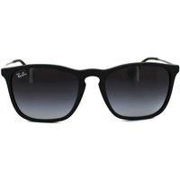 Ray Ban Sunglasses chris 4187 