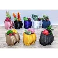 3D Printed & Hand Painted Booty Shaped Planter In 7 Colours