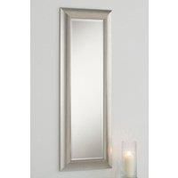 Timeless Silvery Champagne Mirror 129.5x46cm