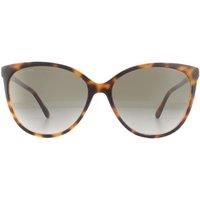 Jimmy Choo Polarized Sunglasses for Women LISSA/S