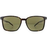 Square Havana Green Sunglasses