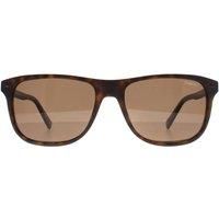 Banana Republic Men's Rectangle Matte Havana Brown Polarized BR 1004/S