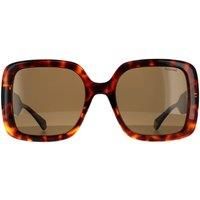 Polaroid PLD 6168/s Sunglasses, 086/SP Havana, L