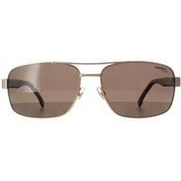 Rectangle Gold with Havana Bronze Polarized Carrera 8063/S