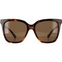 Square Havana Bronze Polarized PLD 4155/S/X