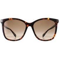 Butterfly Havana Brown Gradient MJ 1106/S