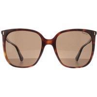 Square Havana Bronze Polarized PLD 6218/S