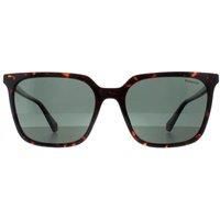 Square Havana Green Polarized PLD 4163/S