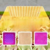 40W 20W LED Grow Light Full Spectrum Quantum Board Plant Lamp Flower Vegetable Cultivation