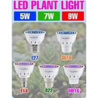 E27/E26 LED Grow Light Bulb E14 Full Spectrum Indoor Flower Potted Plant Grow Box Cultivation Lamp GU10 MR16 B22 AC220V 5W 7W 9W