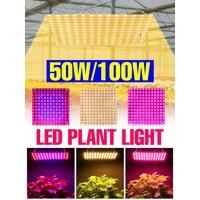 100W LED Quantum Board Grow Light Full Spectrum Plant Lamp US/EU Plug For Indoor Growbox Greenhouse Flower Vegetable Cultivation