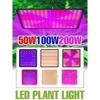 200W LED Grow Light Full Spectrum Quantum Board Plant Cultivation Lamp For Indoor Potted Flower Greenhouse Tent Tomato Vegetable