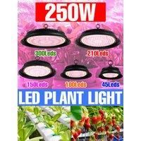 250W LED Grow Lights Full Spectrum Plant Hydroponics Cultivation Lamp US/EU Plug For Indoor Greenhouse Tomato Vegetables Growbox