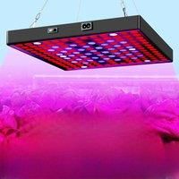 50W LED Grow Light Full Spectrum Phyto Lamp For Plant Indoor Flower Vegetable Greenhouse Grow Tent