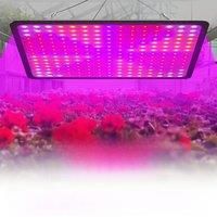 200W LED Plant Grow Light Full Spectrum Quantum Board Lamp Indoor Greenhouse Flower Vegetable