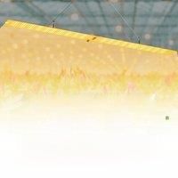 350W LED Grow Light Full Spectrum Quantum Plate Plant Lamp Indoor Flower Greenhouse Vegetable Growth