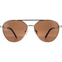 Serengeti Odell Polarized Photochromic Aviator Sunglasses SS555 - Made in Italy