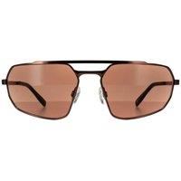 Serengeti Hinkley Photochromic Sunglasses Shiny Bronze /Drivers Lenses SS570005