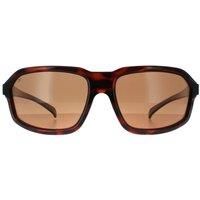 SERENGETI Unisex/'s HEXT Sunglasses, Shiny Tortoise, M-L