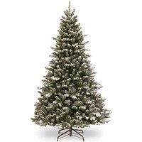 Snowy Sheffield Spruce 6.5ft Tree