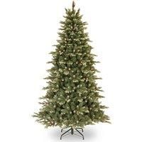 Copenhagen Blue Spruce 7.5ft Tree Cones