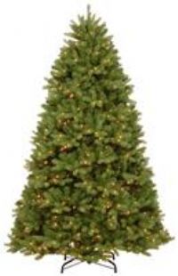 2m (6.5ft) Newberry Spruce Pre Lit Artificial Christmas Tree (PEND2-300LB-65)