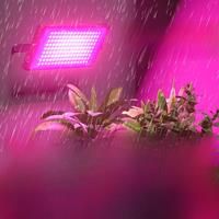 LED Plant Grow Lights 220V Full Spectrum Planting Fill Lamp Red Blue Hydroponic Greenhouse Tent