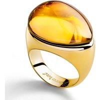 Golden Glow Ring 2805637