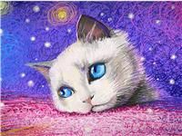 PETGDS Diamond Painting Full Set, Cat Diamond 5D (30 x 40 cm)