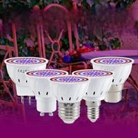 E27 220V LED Grow Light Bulb E14 Full Spectrum B22 Plant Lamp MR16 Flower Seedling Indoor