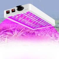 500W 300W LED Grow Light Full Spectrum Greenhouse Tent Vegetable Interior Flower Seedling