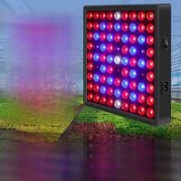 40W 20W LED Grow Lights Full Spectrum Quantum Board Indoor Greenhouse Plant UV Lamp Flower Seed