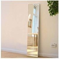 Metal Frame Over the Door Full Length Mirror