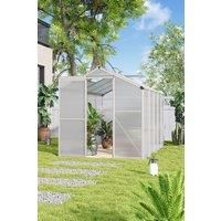 Aluminium Walk-in Greenhouse with Window Opening