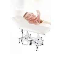 Electric Adjustable Reclining Tattoo Chair