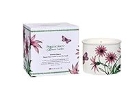 Portmeirion Botanic Garden Ceramic Coconut Wax Candle Treasure Flower Gazania Rigens by Wax Lyrical (Treasure Flower)