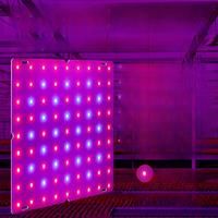 LED Grow Lights Full Spectrum Quantum Board Phytolamp For Plant Indoor Flower Seeds Hydroponics
