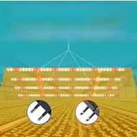 624Leds Plant Grow Light Full Spectrum Quantum Board Growth Box Seeds Cultivation Lamp Greenhouse