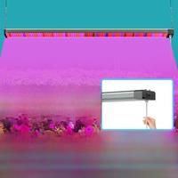 200W LED Grow Light 220V Full Spectrum Quantum Board 110V Growth Box Greenhouse Tent Hydroponic Vegs