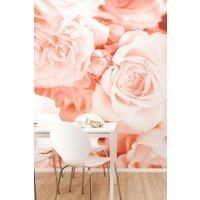 Origin Murals Petals Peach Wall Mural - 3.5m x 2.8m