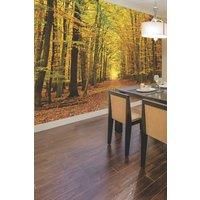 Autumn Forest Orange Wall Mural - 3.5m x 2.8m