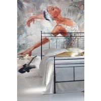 Ballerina Grey Matt Smooth Paste the Wall Mural 350cm wide x 280cm high